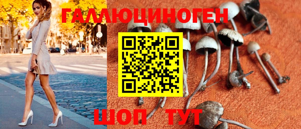 Псилоцибиновые грибы Magic Shrooms Когалым